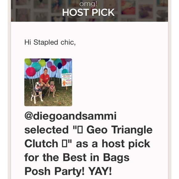 ‼️ 2 LEFT ‼️ Geo Triangle Clutch - Picture 5 of 5